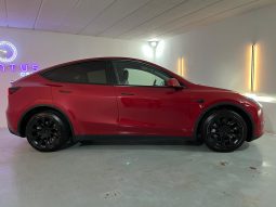 TESLA Model Y Gran Autonomia 4WD lleno